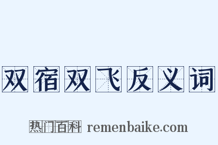 双宿双飞反义词是什么意思的图片